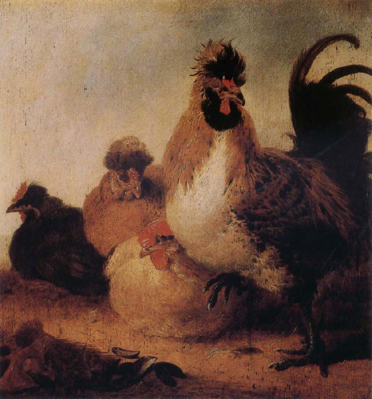 Aelbert Cuyp Rooster and Hens Sweden oil painting art